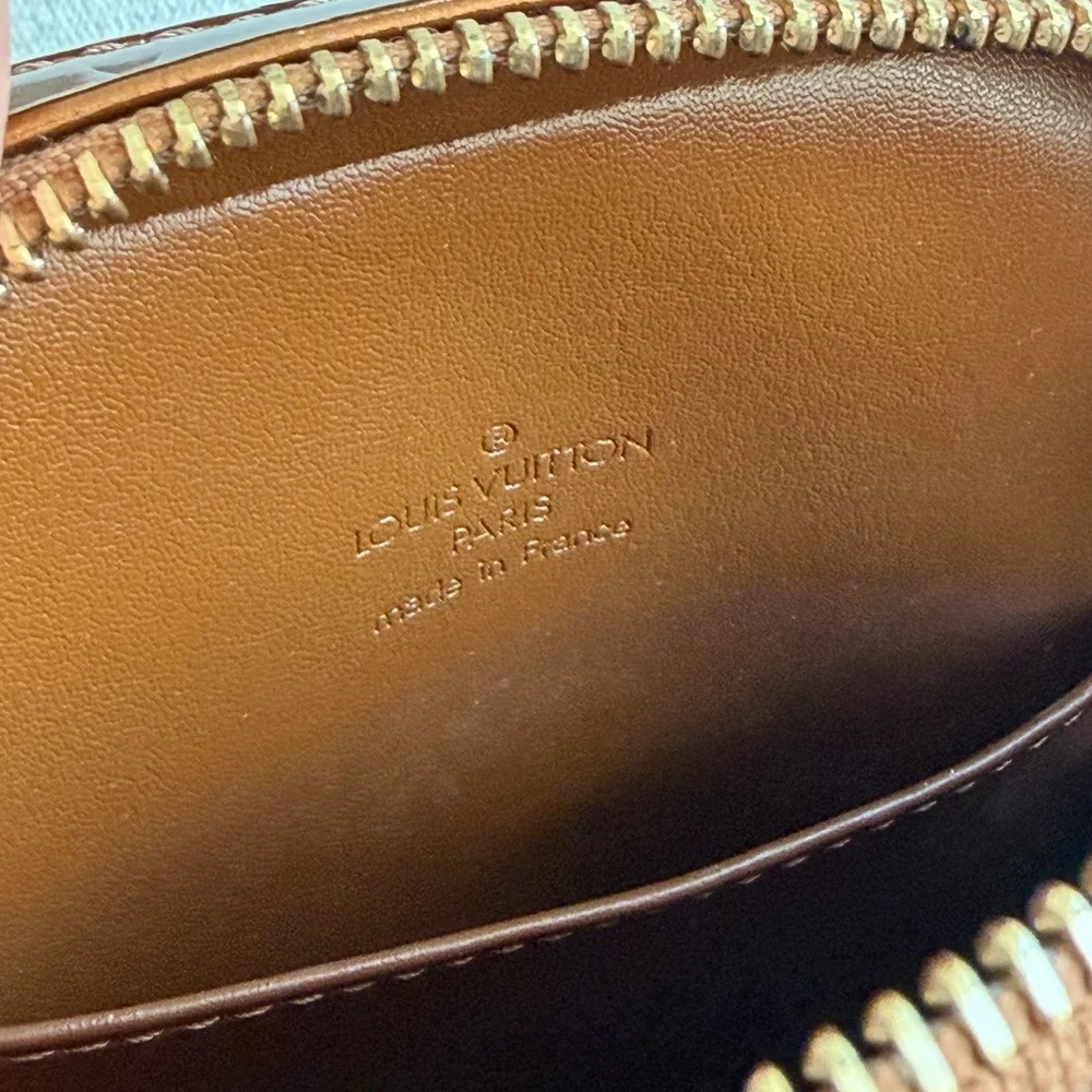 Louis Vuitton stylish brown